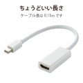 Mini DisplayPort-HDMI変換アダプタ 写真8