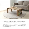INAS(イナス)ローテーブル100cm幅 テーブル センターテーブル ローテーブル 机 おしゃれ 北歐 収納付き ブックスタンド グレーナチュラル IN40-100CT-GN 写真8