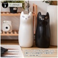 G カサタテ 写真9